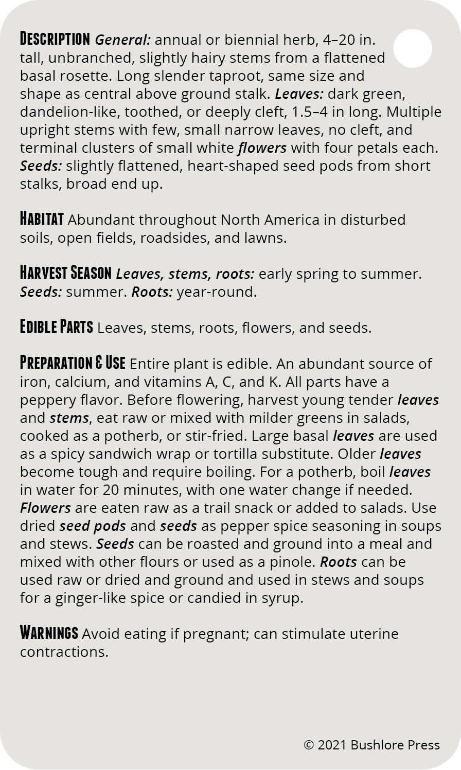 Wild Edibles 3.0 Field Guide