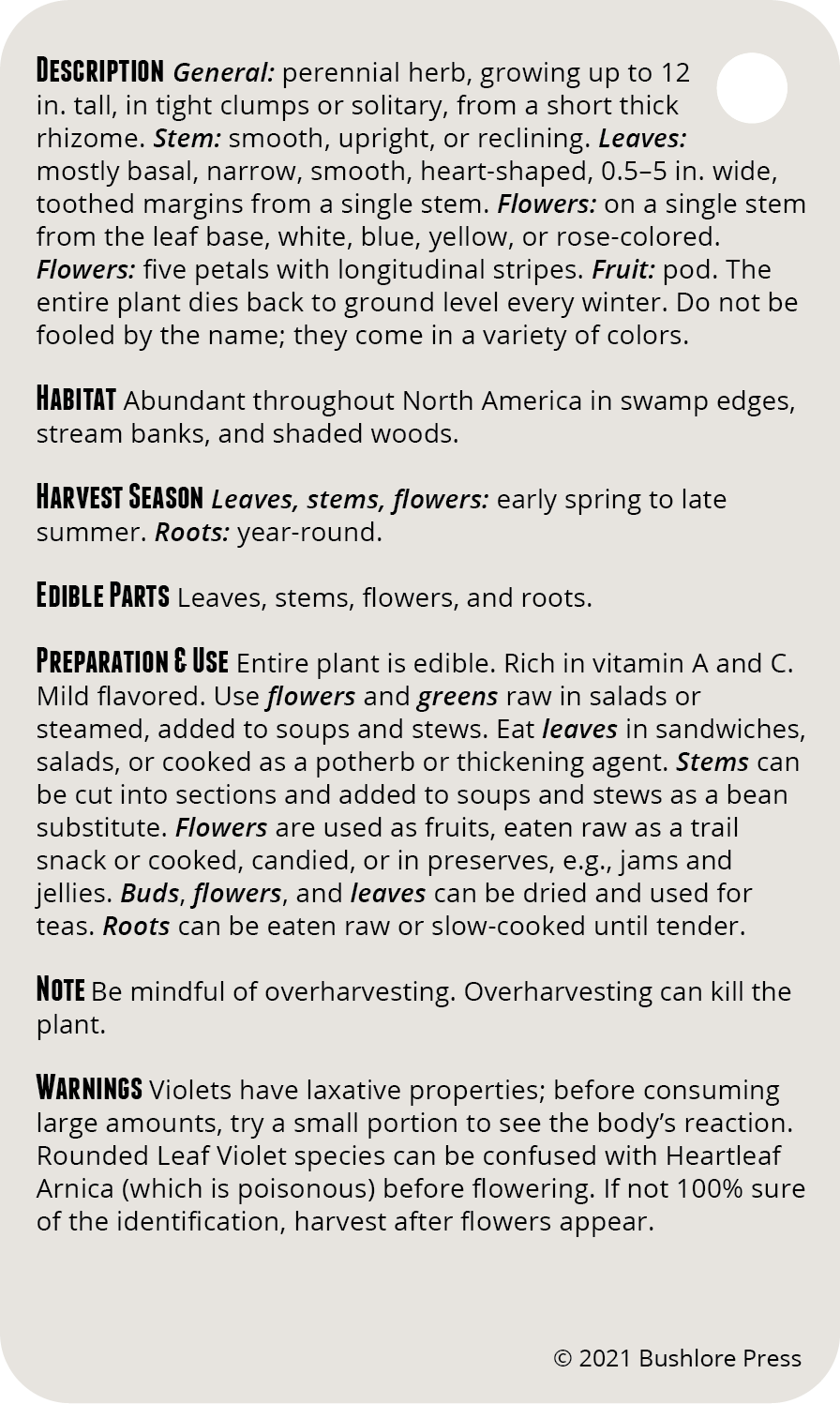 Wild Edibles 3.0 Field Guide